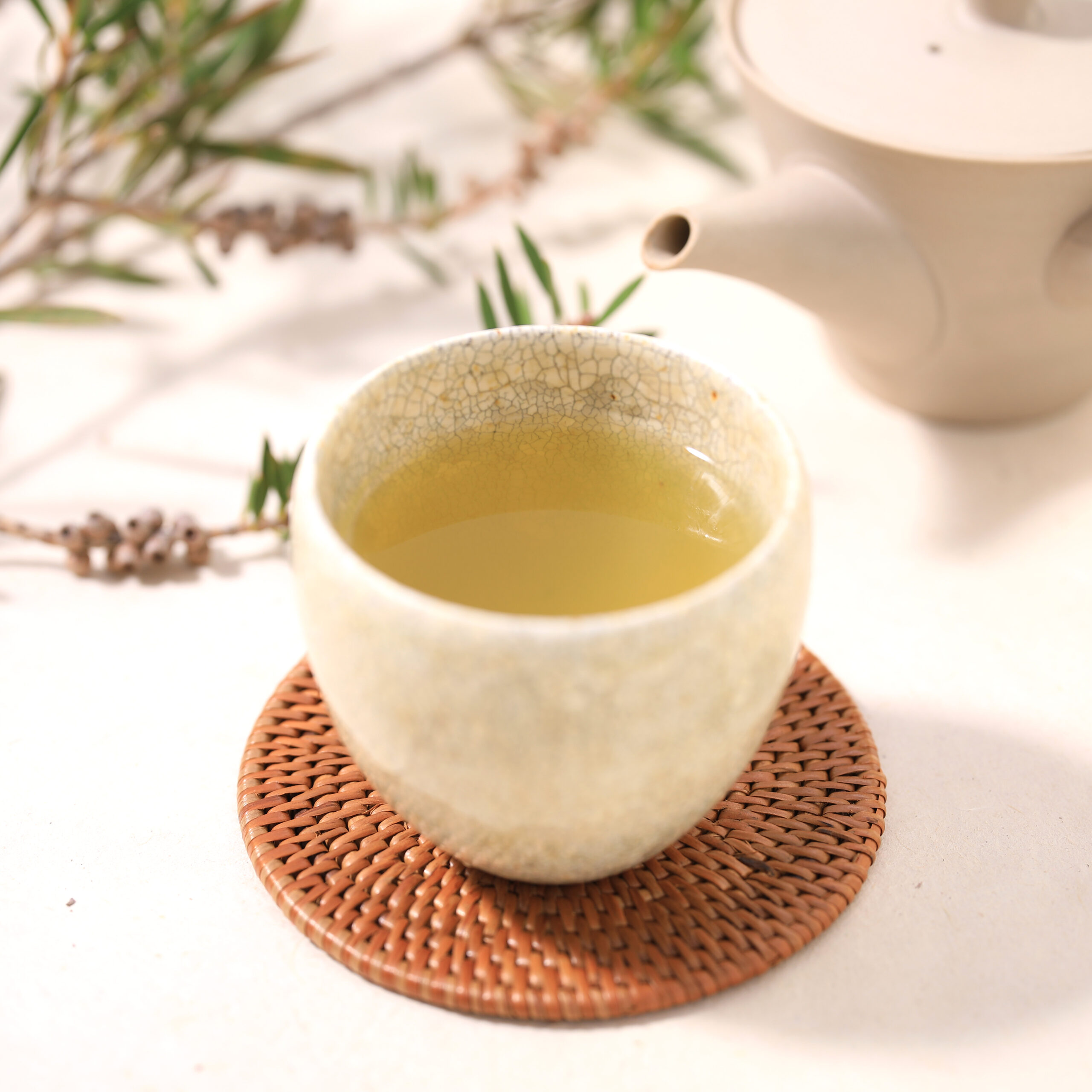 静岡のお茶