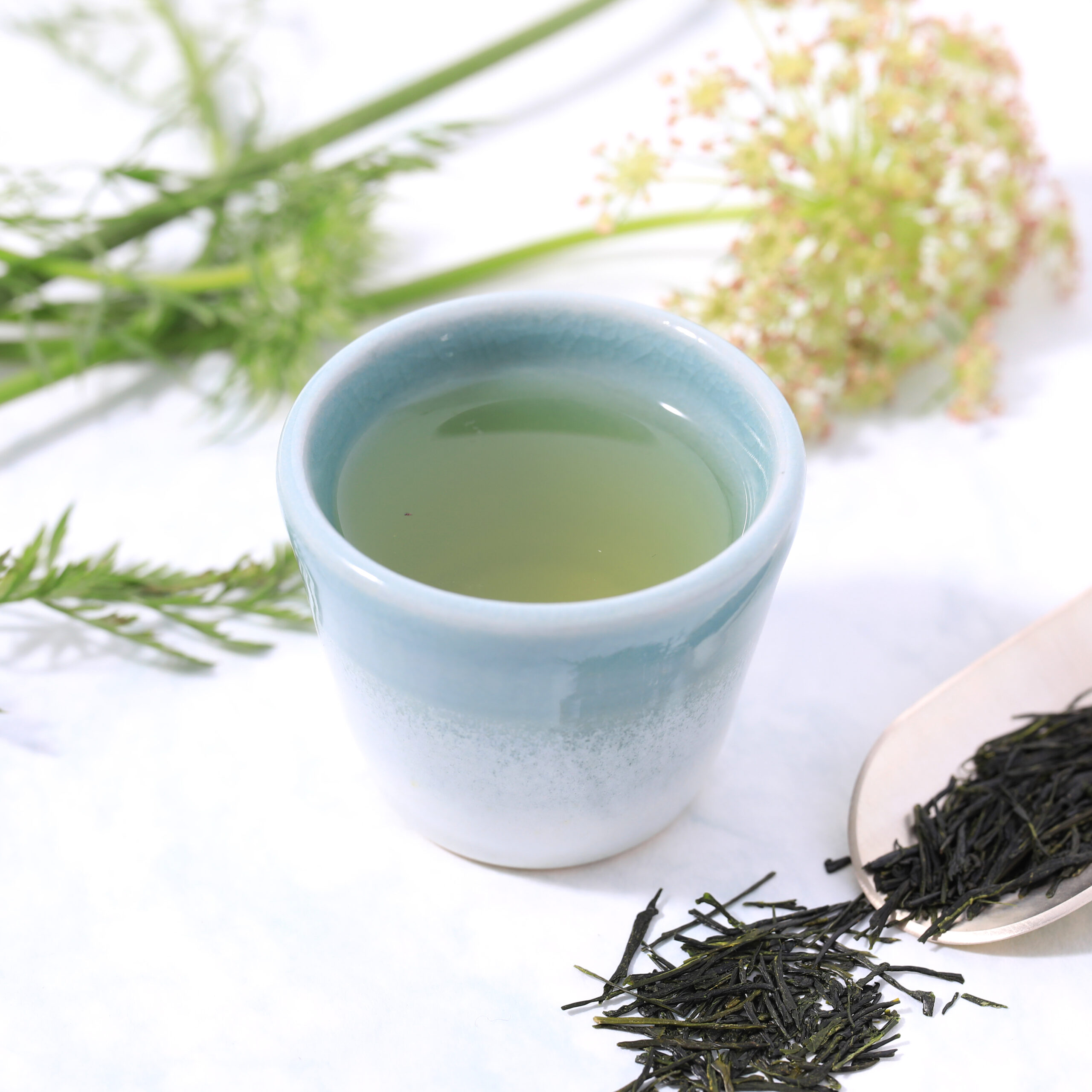 緑茶