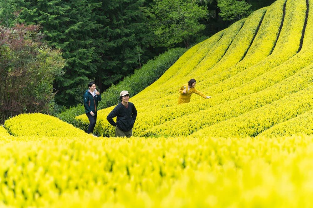 茶の間写真